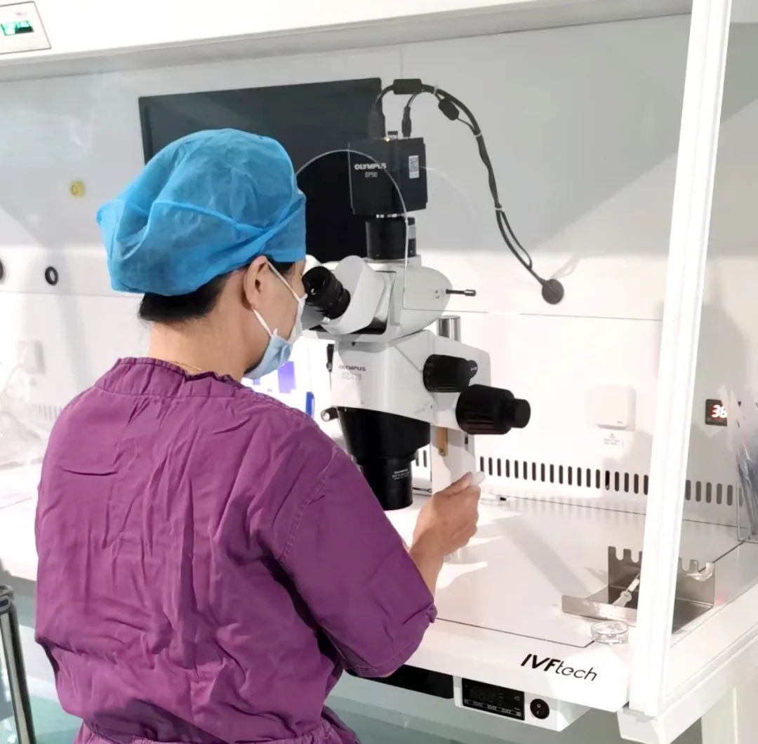 【喜讯】保山首例无精子症通过试管婴儿技术助孕成功！